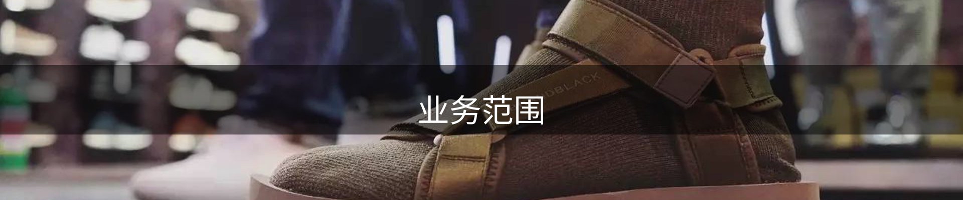 业务范围